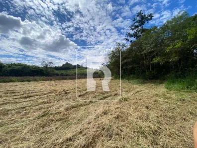 Fazenda/Sítio à venda, 10000m² no Centro, Queluzito