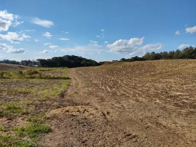 Fazenda/Sítio com 1 Quarto à venda, 151800m² no Nova Vicenza, Farroupilha