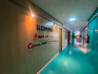 Sala Comercial para alugar, 532m² no Sion, Belo Horizonte
