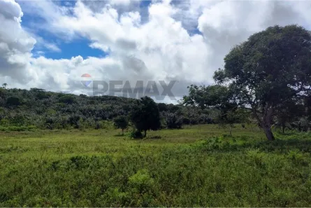 Lote/Terreno à venda, 705464m² no Entroncamento, Dias d'Ávila