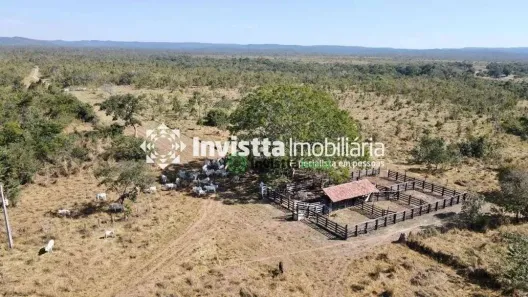 Fazenda/Sítio à venda, 10000000m² no , Almas