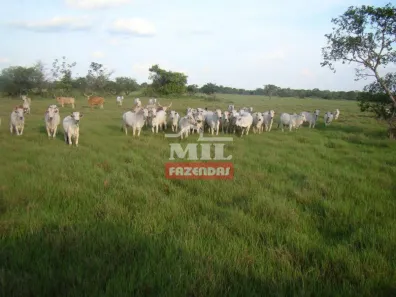 Fazenda/Sítio à venda, 1m² no , São Miguel do Araguaia