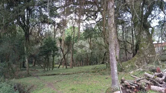 Lote/Terreno à venda, 3333m² no Fiuza, Viamão