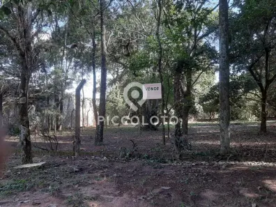Lote/Terreno à venda, 1238m² no Village Campinas, Campinas