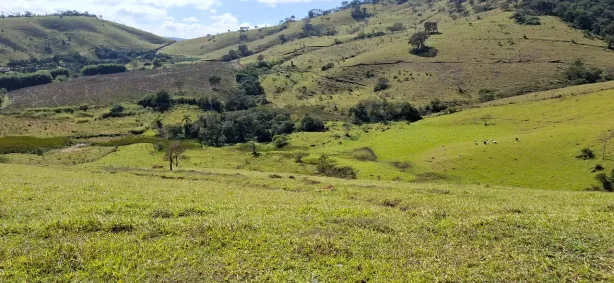 Fazenda/Sítio à venda, 217800m² no , Paraisópolis