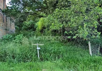 Lote/Terreno para alugar, 300m² no Vila Nova, Porto Alegre