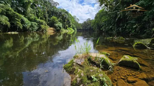 Fazenda/Sítio com 1 Quarto à venda, 1636m² no , Morretes