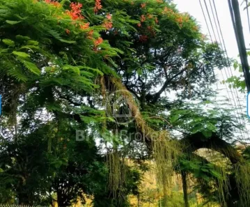 Lote/Terreno à venda, 1402m² no Freguesia (Jacarepaguá), Rio de Janeiro