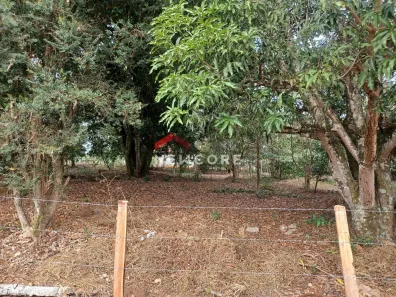 Lote/Terreno à venda, 75m² no Sapé I, Caçapava