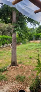 Lote/Terreno à venda, 400m² no Palmital, Lagoa Santa