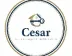 Miniatura da foto de Cesar