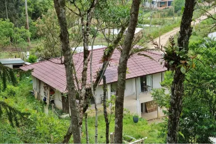 Fazenda/Sítio com 2 Quartos à venda, 140m² no Rural, Tijucas do Sul