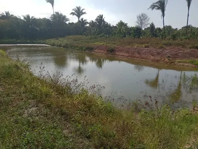 Fazenda/Sítio à venda, 54000m² no , Bacabeira