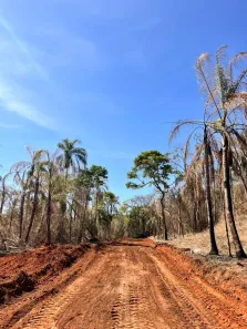 Lote/Terreno à venda, 600m² no Terra Preta (Terra Preta), Mairiporã