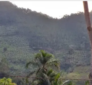 Lote/Terreno à venda, 20000m² no Lumiar, Nova Friburgo