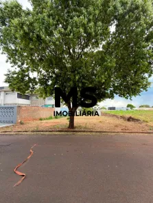 Lote/Terreno à venda, 371m² no Jardim Grécia, Porto Rico