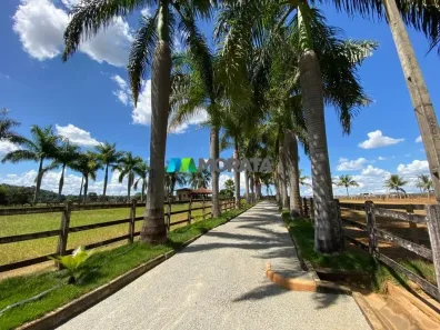 Fazenda/Sítio com 1 Quarto à venda, 205m² no , Paraopeba