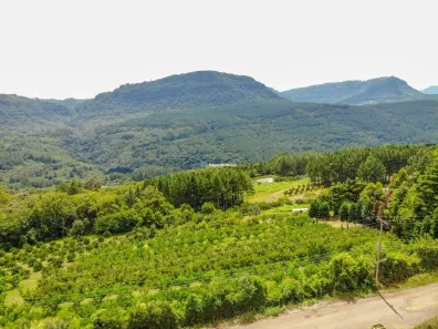 Imóvel Comercial à venda, 200000m² no , Gramado