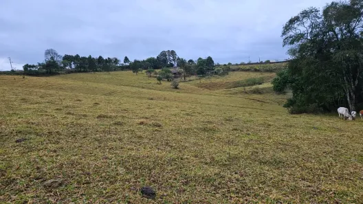 Fazenda/Sítio com 2 Quartos à venda, 39319m² no Curral, Ibiúna