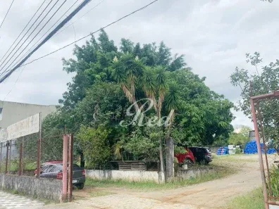 Lote/Terreno para alugar, 605m² no Vila Figueira, Suzano