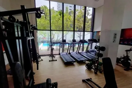 Apartamento com 3 Quartos para alugar, 65m² no Madalena, Recife