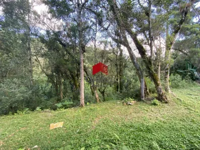 Lote/Terreno à venda, 4720m² no Borda do Campo, São José dos Pinhais