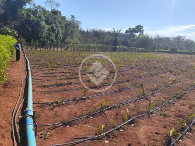 Fazenda/Sítio à venda, 3m² no Centro, Nerópolis