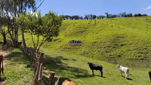Fazenda/Sítio à venda, 97000m² no , Crucilândia