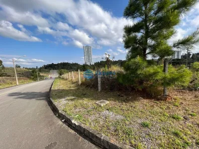 Lote/Terreno à venda, 2702m² no Sanvitto, Caxias do Sul