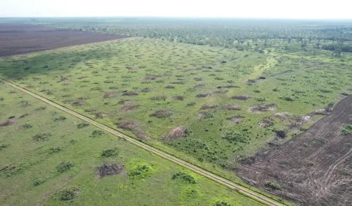 Fazenda/Sítio à venda, 1016m² no , Ribeirão Cascalheira