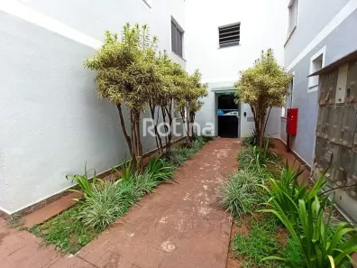 Apartamento com 3 Quartos para alugar, 55m² no Gávea, Uberlândia