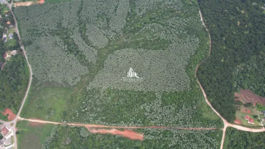 Fazenda/Sítio à venda, 42000m² no Roseira, Colombo