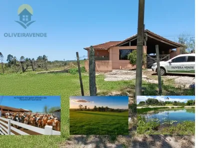 Fazenda/Sítio com 2 Quartos à venda, 1258400m² no São Vicente de Paula, Araruama