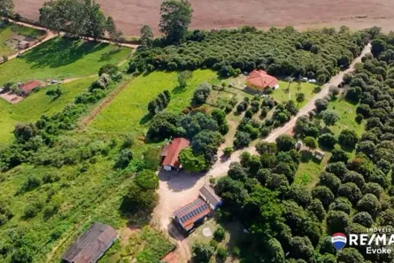 Fazenda/Sítio com 3 Quartos à venda, 500m² no Bairro da Olaria, Jarinu