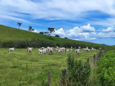 Fazenda/Sítio com 2 Quartos à venda, 160000m² no Área Rural de Cachoeiras de Macacu, Cachoeiras de Macacu