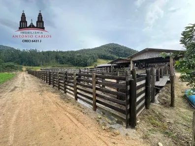 Fazenda/Sítio à venda, 20000m² no Área Rural de Antônio Carlos, Antônio Carlos