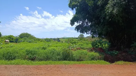 Lote/Terreno à venda, 2048m² no Cilo 3, Londrina