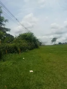 para alugar, 37556m² no Adelino Simioni, Ribeirão Preto