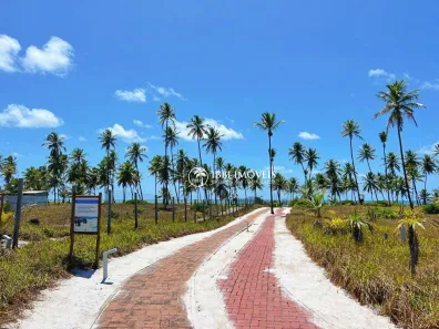 Lote/Terreno à venda, 630m² no , Mata de São João