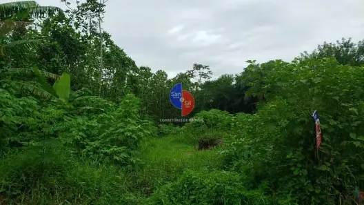 Lote/Terreno à venda, 10m² no Cotia, Guapimirim