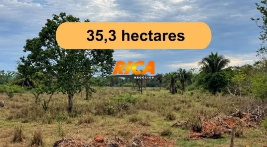 Fazenda/Sítio à venda, 353000m² no Rural, Urupá