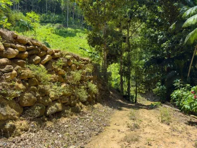 Lote/Terreno à venda, 45000m² no Comunidade Urbana de Jaboti, Guarapari