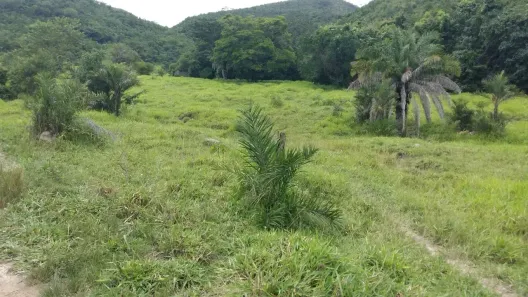 Fazenda/Sítio com 4 Quartos à venda, 6292000m² no , Goiás