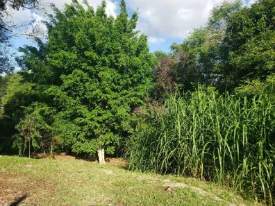 Lote/Terreno à venda, 2530m² no do Carmo (Canguera), São Roque