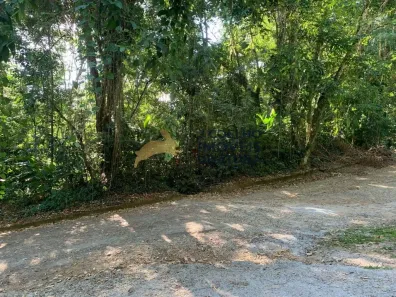 Lote/Terreno à venda, 552m² no Tenório, Ubatuba
