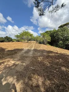 Lote/Terreno à venda, 6500m² no Guabiraba, Recife