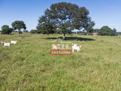 Fazenda/Sítio à venda, 500m² no , Mozarlândia