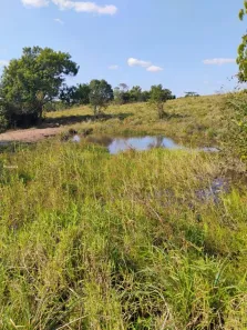 Fazenda/Sítio com 2 Quartos à venda, 1258400m² no Vila alegrete, Martinópolis