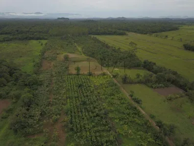 Lote/Terreno à venda, 80000m² no Caixa d'Água, Guaramirim