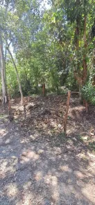Lote/Terreno à venda, 250m² no Jardim das Palmeiras (Zona Sul), São Paulo